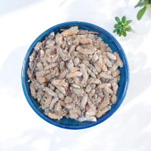 گیاه بیدمشک