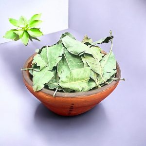 برگ انبه خشک