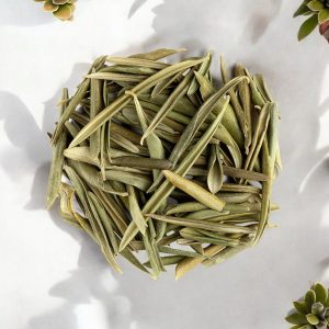 برگ زیتون خشک