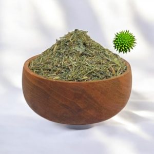 گیاه شاتره