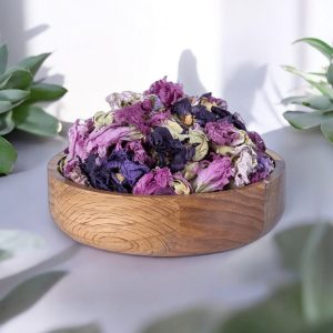 گل ختمی بنفش