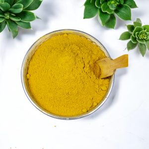 ادویه انبه