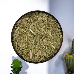 گیاه خارشتر