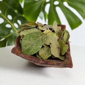 برگ به
