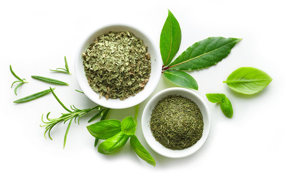 ضدعفونی